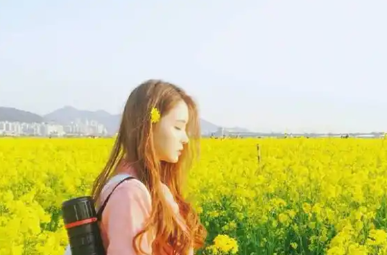 天美麻花星空免费观看电视、朋友的母亲中字ID：期待你的归来