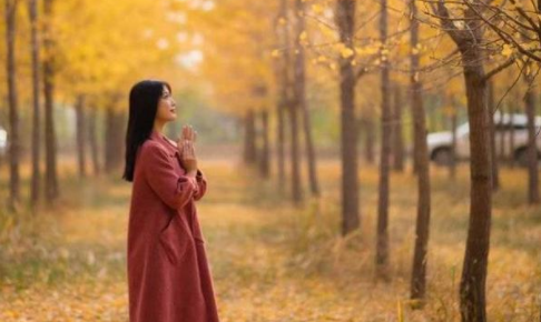 天堂VA蜜桃一区二区三区、免费网站在线观看人数*集：期待你的归来